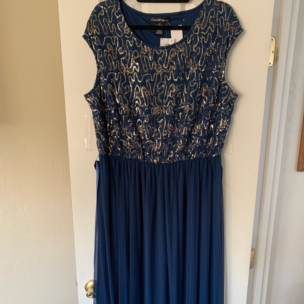 Full length plus size event dress.